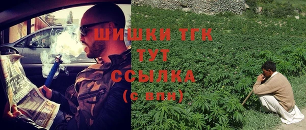 дмт Арсеньев