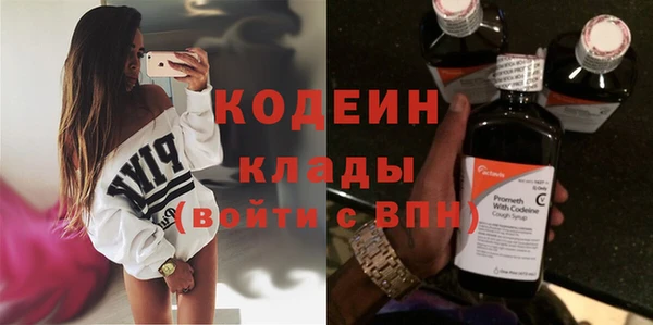 дмт Арсеньев