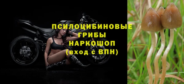 марки lsd Аркадак